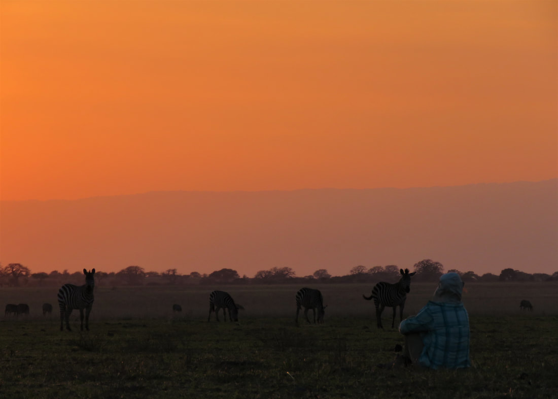 Serengeti Sunset While On Walking Safari